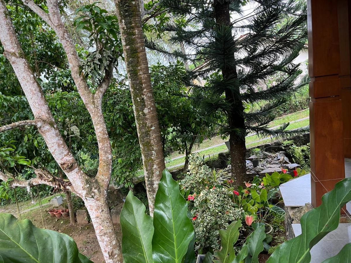 Villa Dinoos- Weligama Exteriör bild