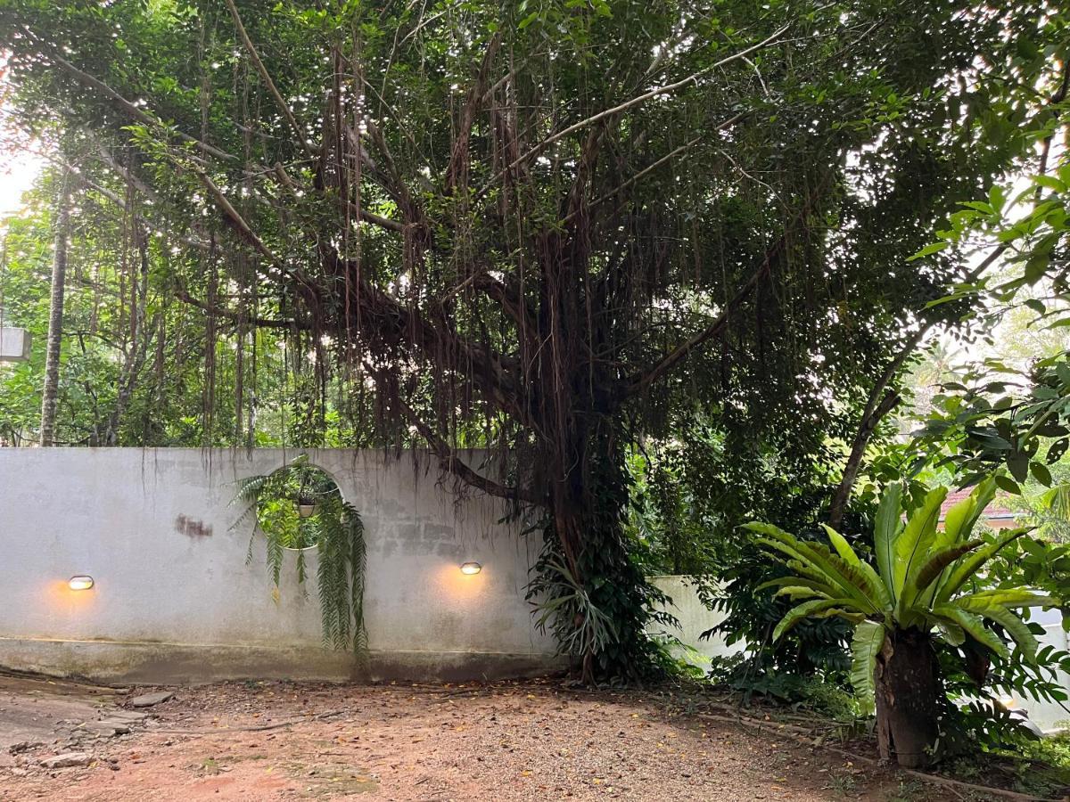 Villa Dinoos- Weligama Exteriör bild