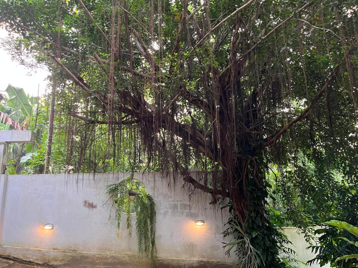 Villa Dinoos- Weligama Exteriör bild