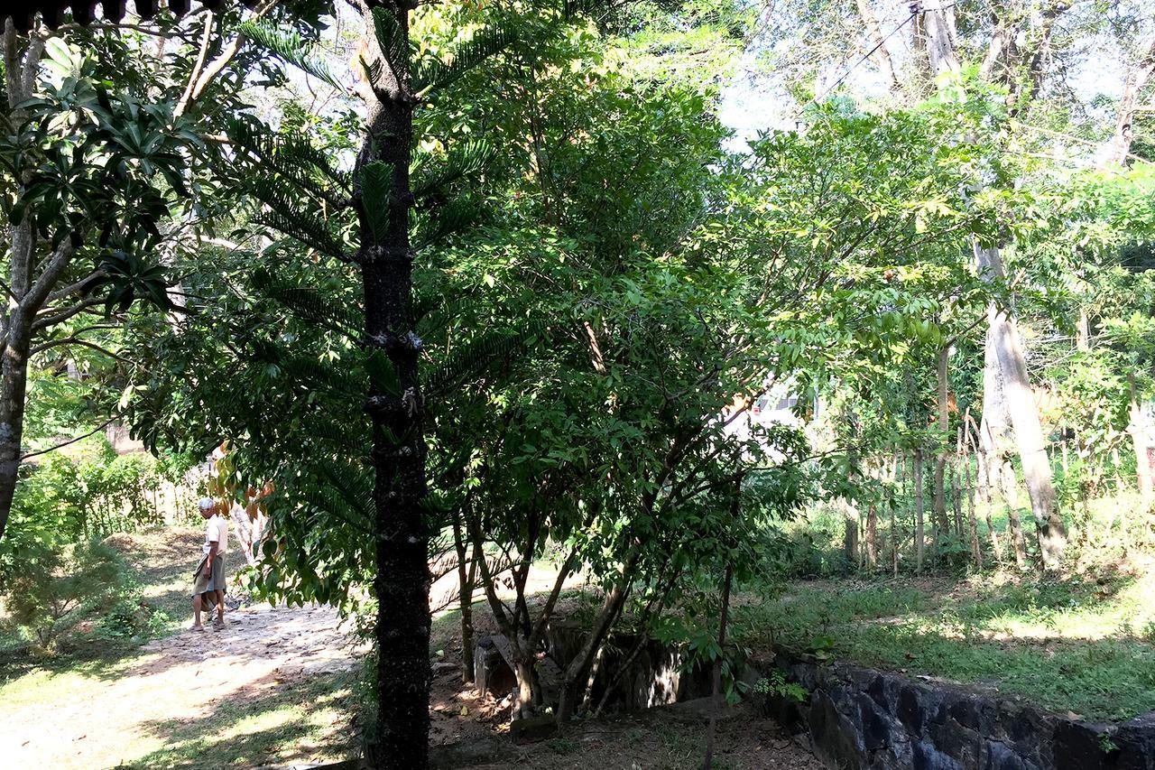 Villa Dinoos- Weligama Exteriör bild